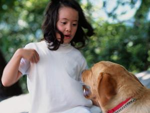 シロアリ駆除はアサンテ ? 即日対応、土日祝日も対応可能な信頼のサービス