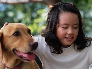 伊勢原で評判の高い動物病院を探す