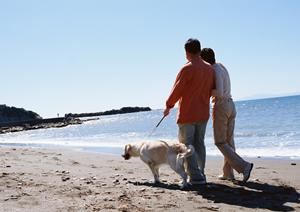 表参道のテラスの魅力とギャラリーの多さ