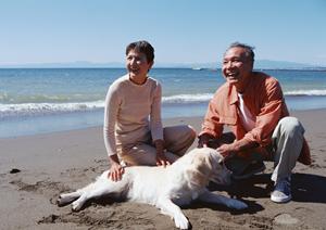 大阪のペット火葬の相談について