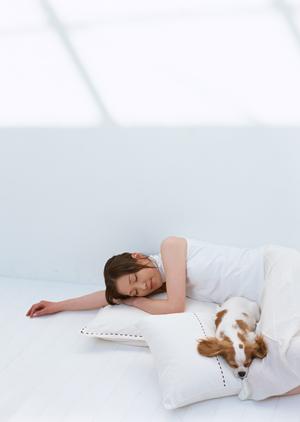 六本木駅近くの動物と触れ合えるカフェ