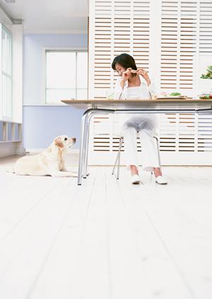 大型犬を満足させられるおもちゃ