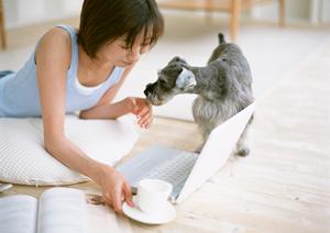 可愛くて健康的なマンチカンを購入しよう