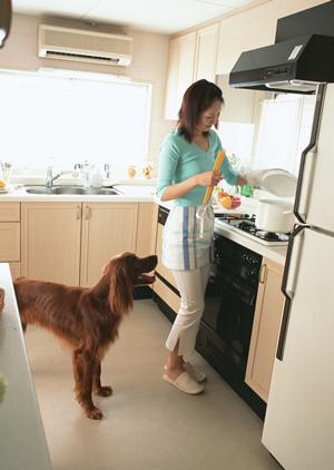 平塚にある様々なペットのための動物病院
