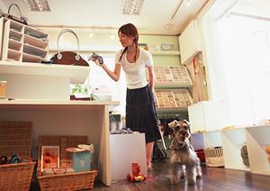 人気がある犬種を扱っているブリーダー