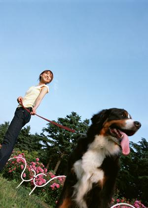 「猫の健康を守る！最適な療法食の選び方と効果的な取り入れ方ガイド」